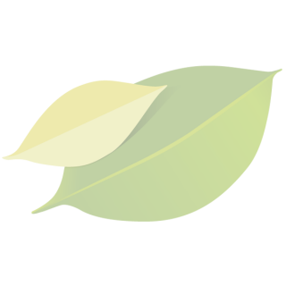 Eichblatt grün