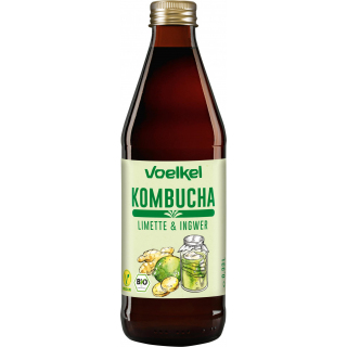 Kombucha Limette-Ingwer