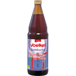 Kombucha Enzymgetränk  0,5%Vol