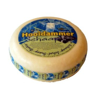 Schafgouda jung