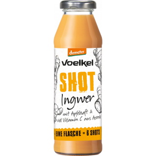 Shot Ingwer DEMETER